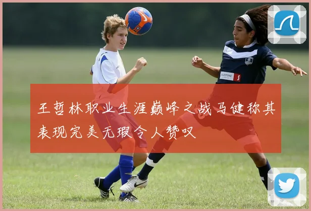王哲林职业生涯巅峰之战马健称其表现完美无瑕令人赞叹